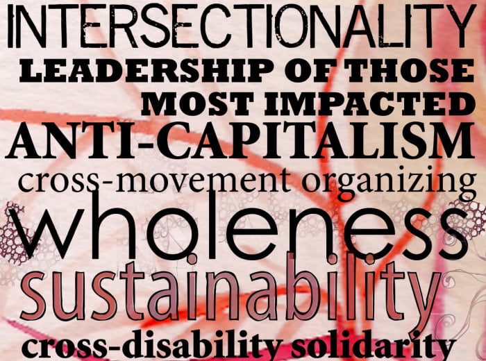 black words on a red and pink background in various fonts read Intersectionality, Leadership of those most impacted, anti-capitalism, cross-movement organizing, wholeness, sustainability, cross-disability solidarity.  These are from the 10 principles of  Disability Justice