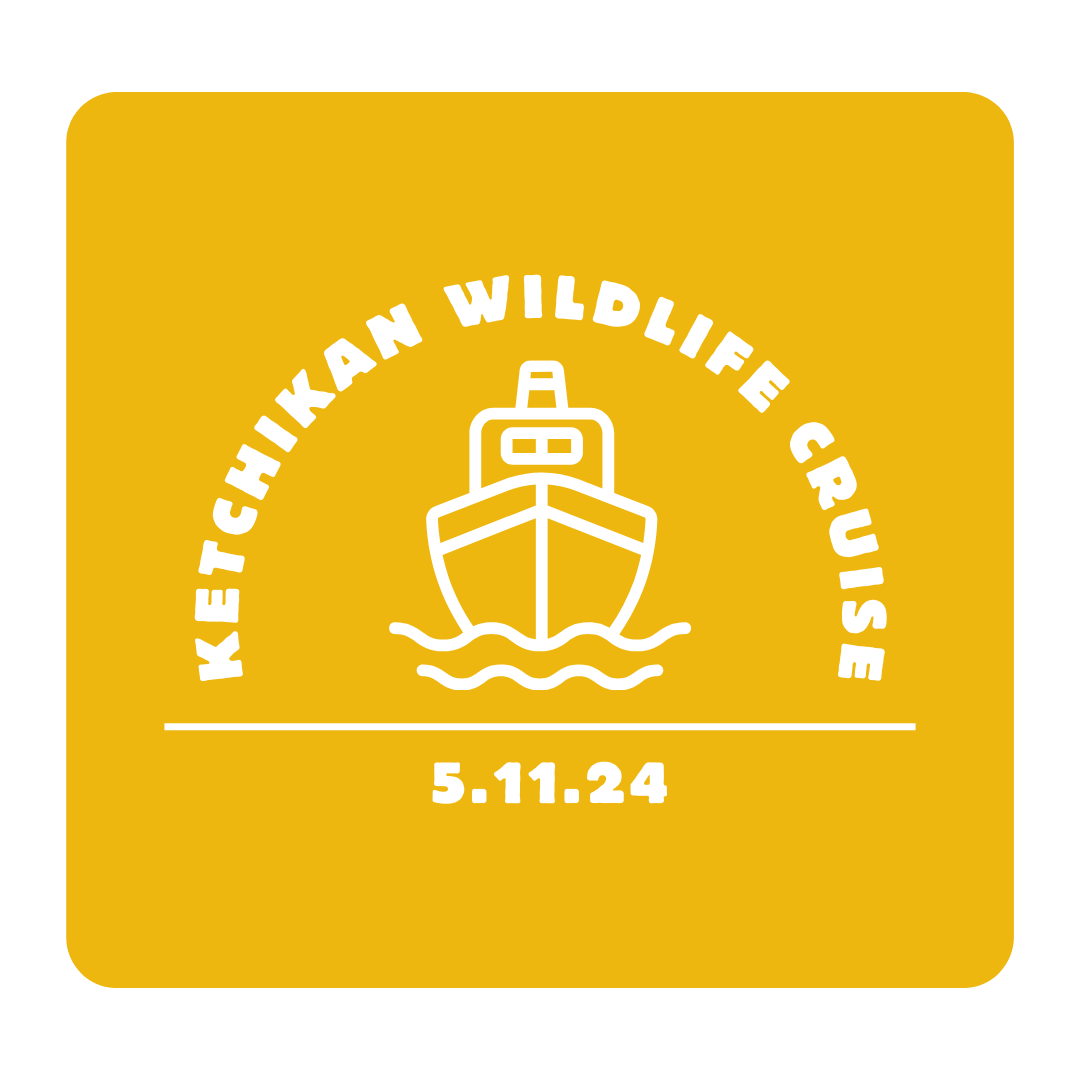 white text on a yellow background that reads Ketchikan Wildlife Cruise 5.11.24 with a boat icon in the middle